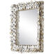 Oyster Shell 20 X 20 inch Natural Wall Mirror